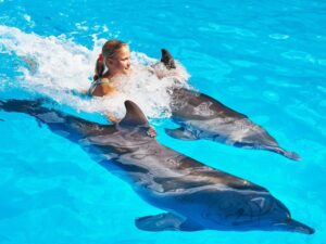 DOLPHIN ADVENTURE