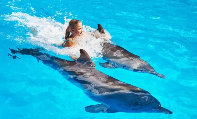 DOLPHIN ADVENTURE