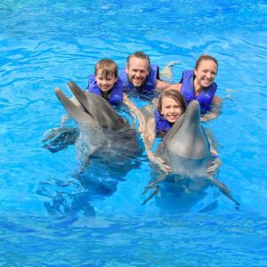 Dolphin Signature puerto vallarta