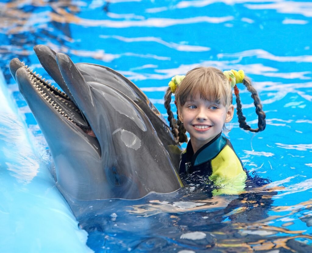 DOLPHIN ADVENTURE