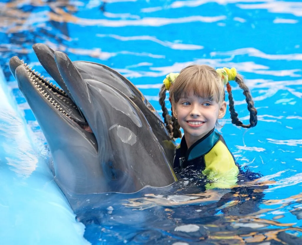 DOLPHIN ADVENTURE