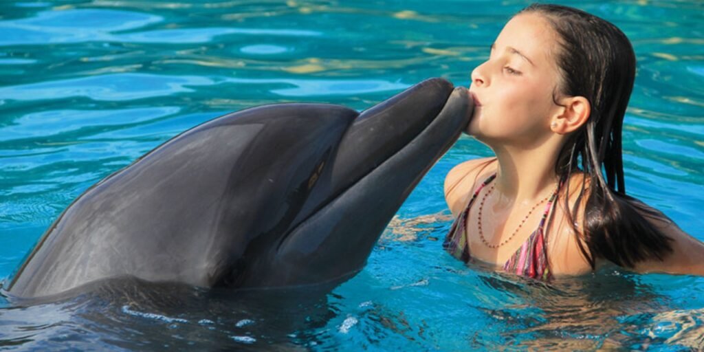 Dolphin Signature Swim