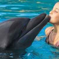 Yachts rental In Puertovallarta