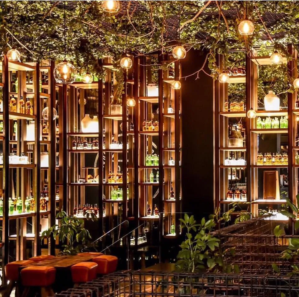 Night Club Services in Puerto Vallarta