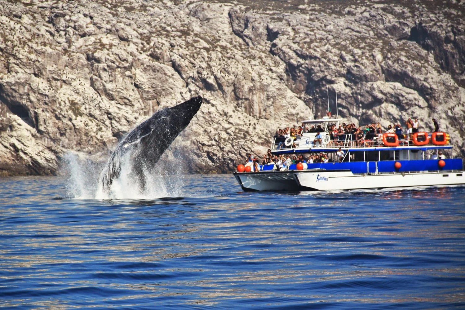Yelapa y Majahuitas Luxury Tour