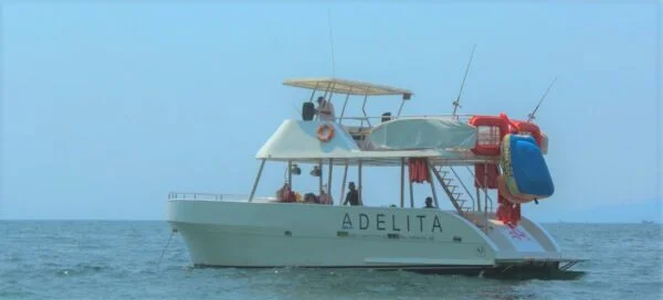 Boat Rental in Puerto Vallarta