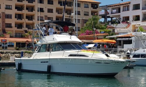 Luxury Yachts