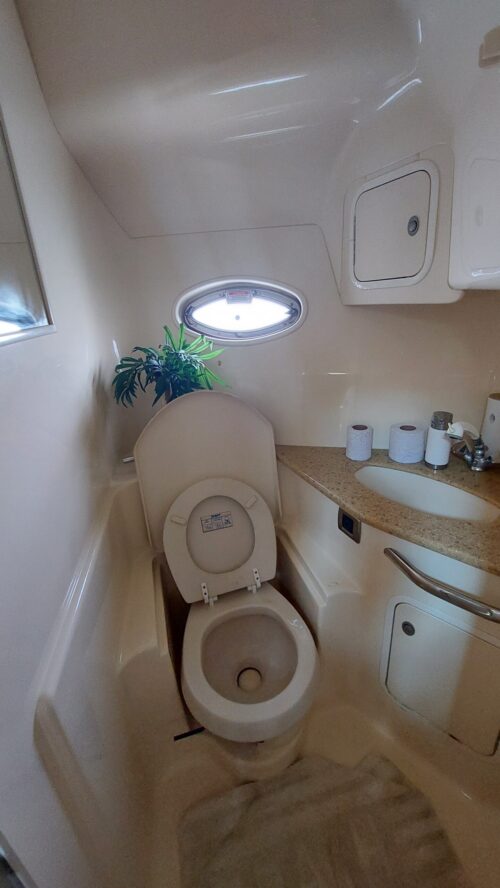 Luxury Yachts