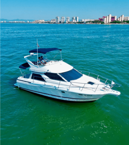 Bayliner 36 pies