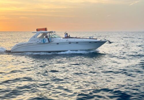 Sea Ray Speed 60' - Image 11